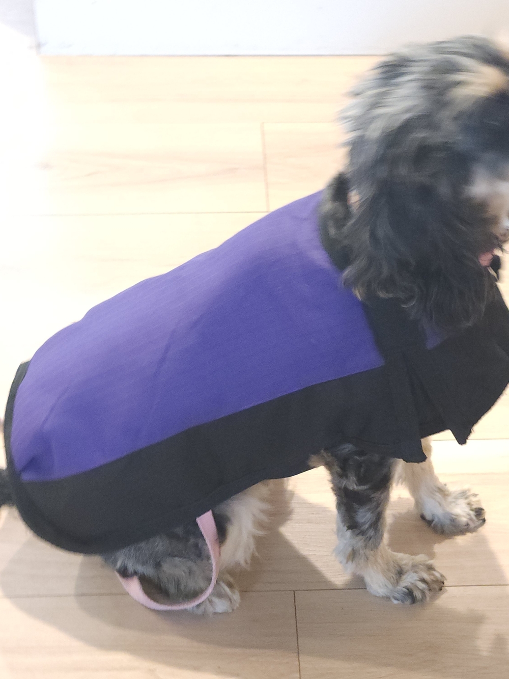 Purple and Black Dog Water-resistant Coat - Estimated Size Medium